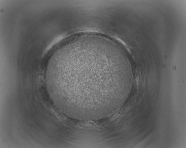 X0000084601255200703091920