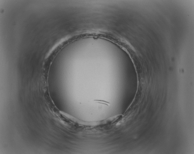 X0000084601256200703091920