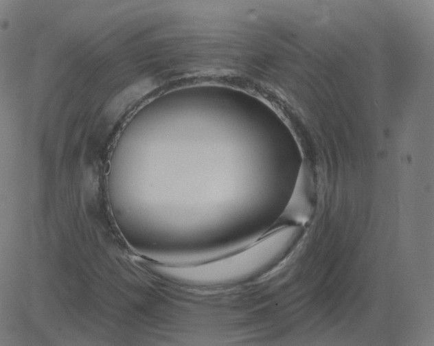 X0000084601257200703091920