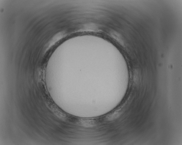 X0000084601258200703091920