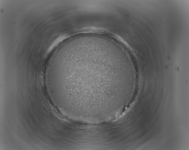 X0000084601259200703091920