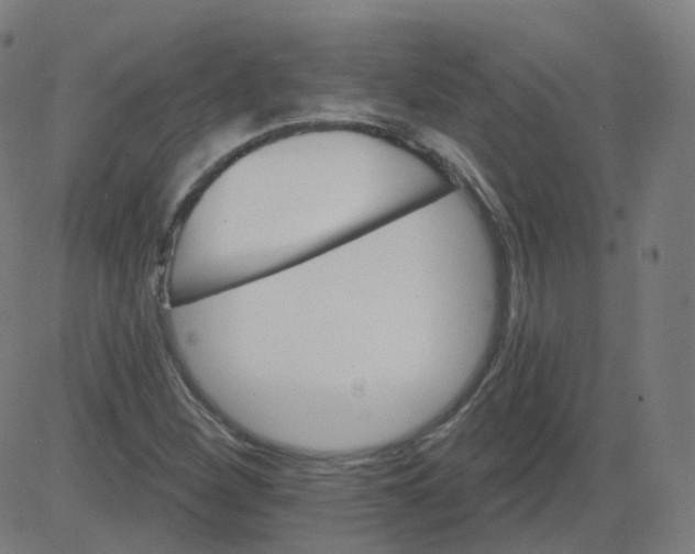 X0000084601260200703091920