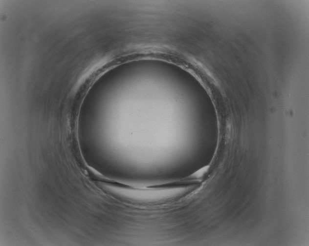 X0000084601261200703091919