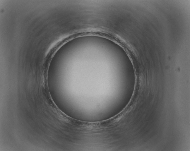 X0000084601262200703091919