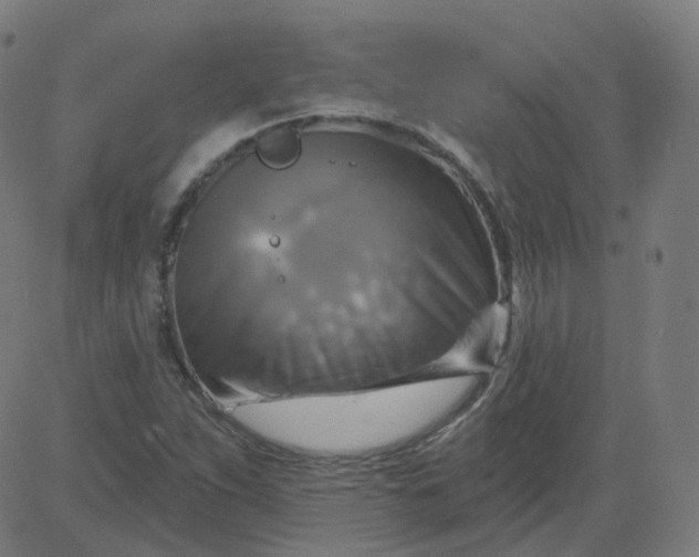 X0000084601263200703091919