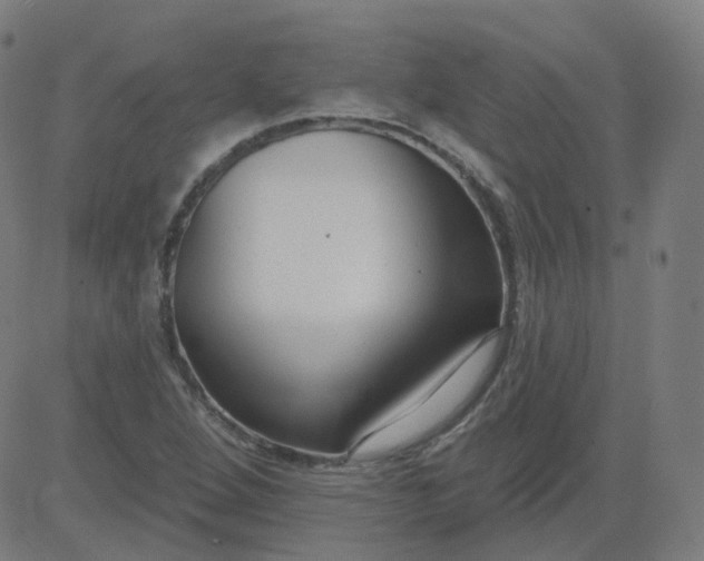 X0000084601264200703091919