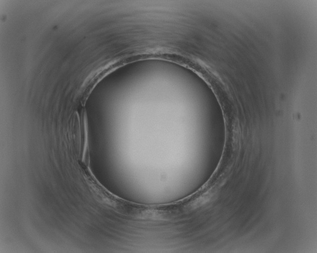 X0000084601265200703091919