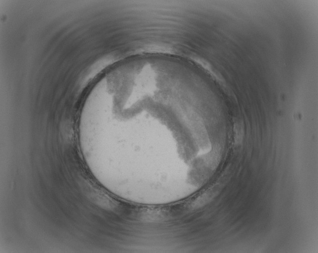 X0000084601266200703091919