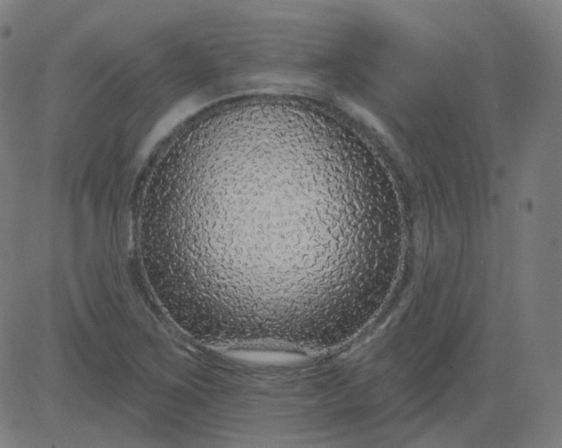 X0000084601267200703091919