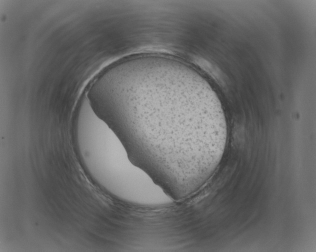 X0000084601268200703091919