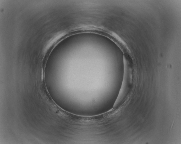 X0000084601269200703091919