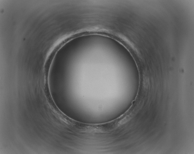 X0000084601270200703091919