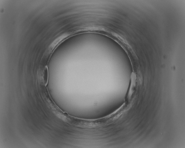 X0000084601273200703091919