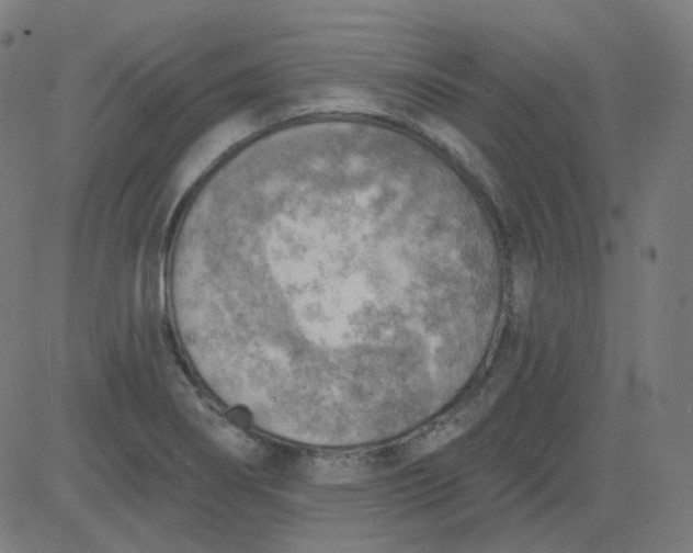 X0000084601274200703091919