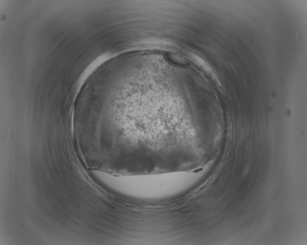 X0000084601275200703091919