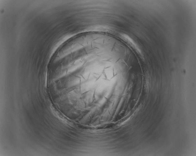 X0000084601276200703091919