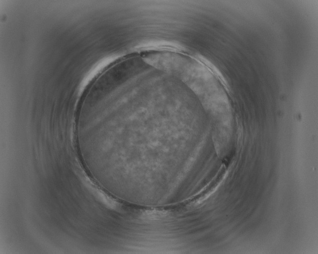 X0000084601277200703091919