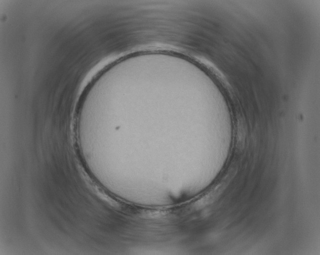 X0000084601278200703091919