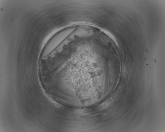 X0000084601279200703091919