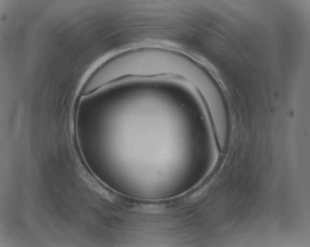 X0000084601280200703091919