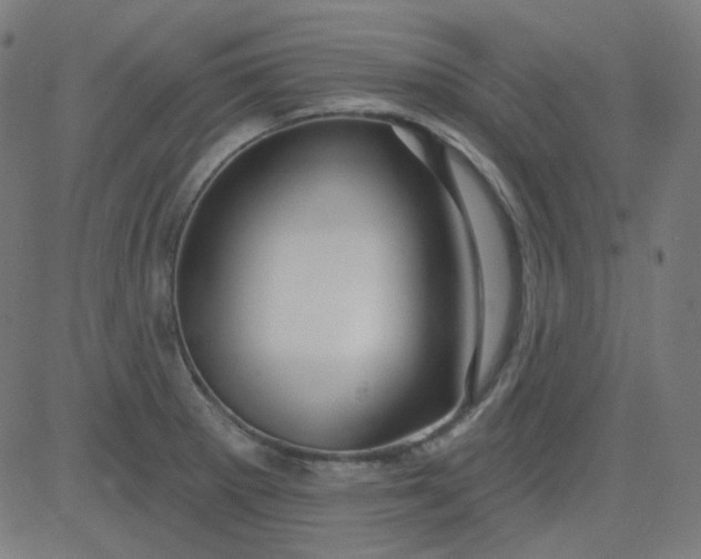 X0000084601281200703091919