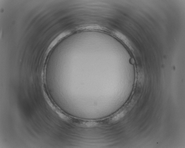 X0000084601282200703091919