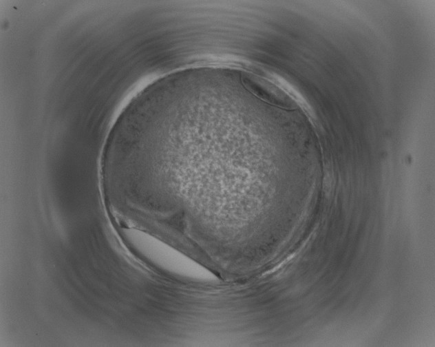 X0000084601283200703091919