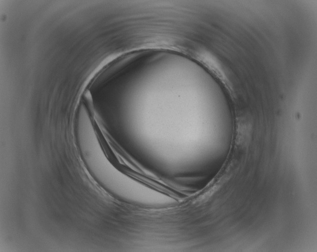 X0000084601284200703091919