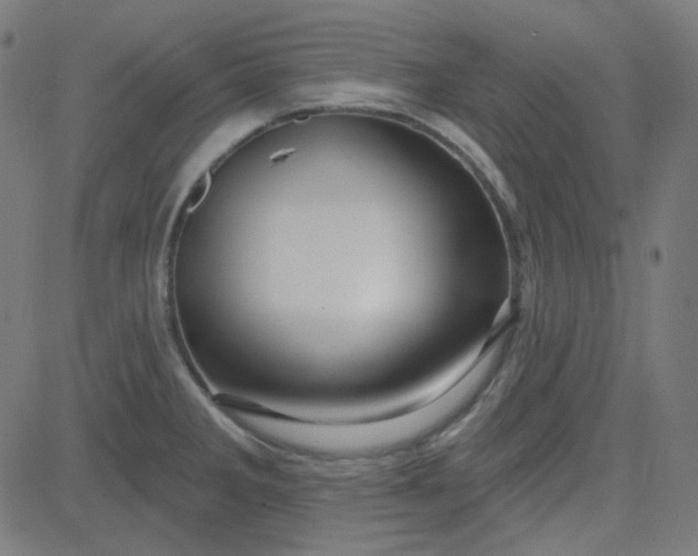 X0000084601285200703091919