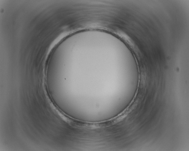 X0000084601286200703091919