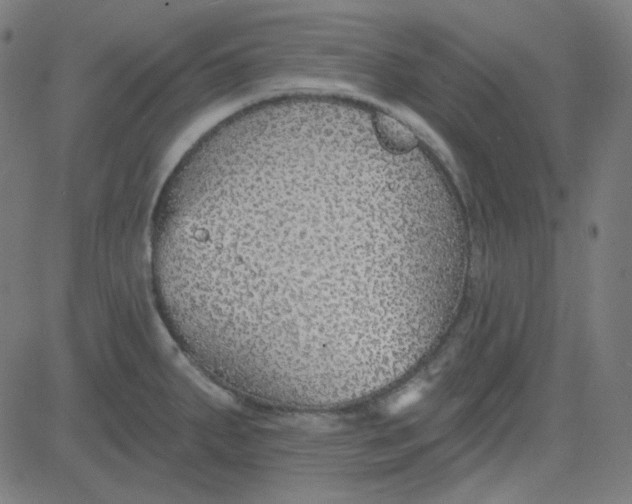 X0000084601287200703091919