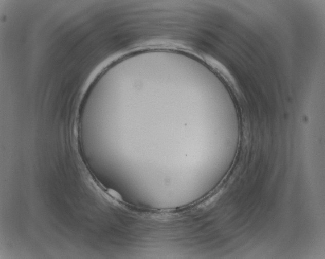 X0000084601288200703091919