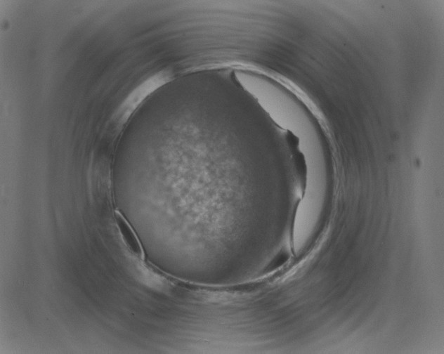 X0000084601289200703091919