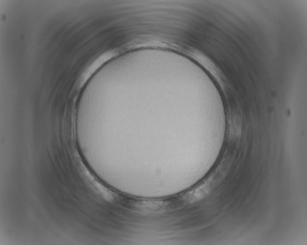 X0000084601290200703091919