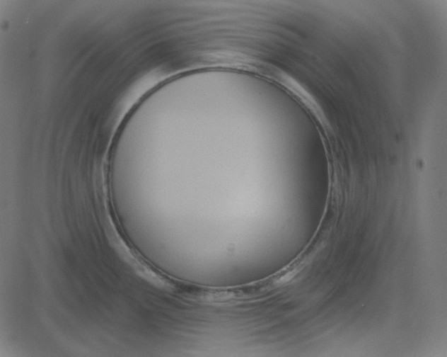 X0000084601291200703091919