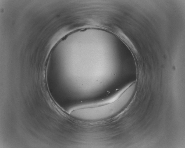 X0000084601292200703091919