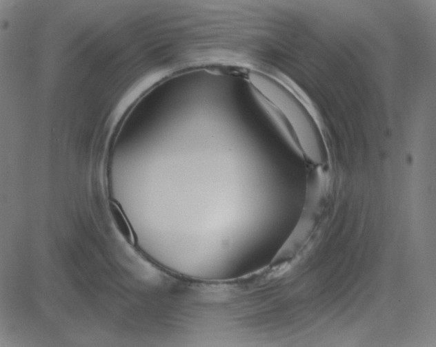 X0000084601293200703091919