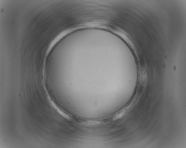 X0000084601294200703091919