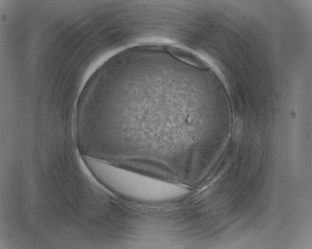 X0000084601295200703091919