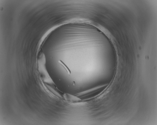 X0000084601296200703091919