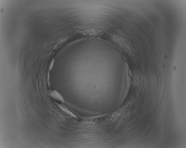 X0000084601297200703091918