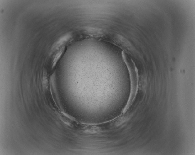 X0000084601298200703091918