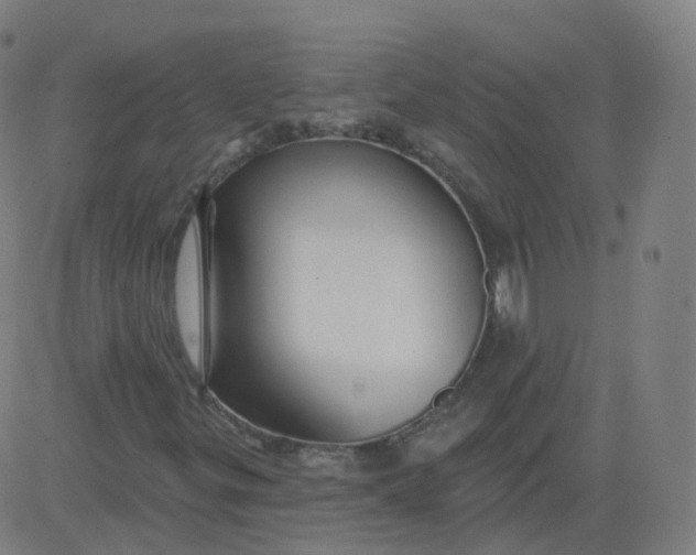 X0000084601299200703091918