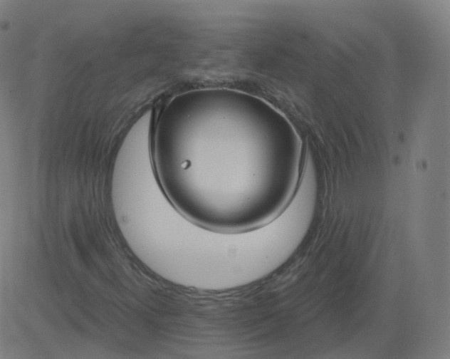 X0000084601300200703091918