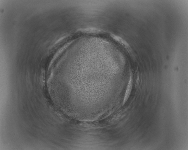 X0000084601301200703091918