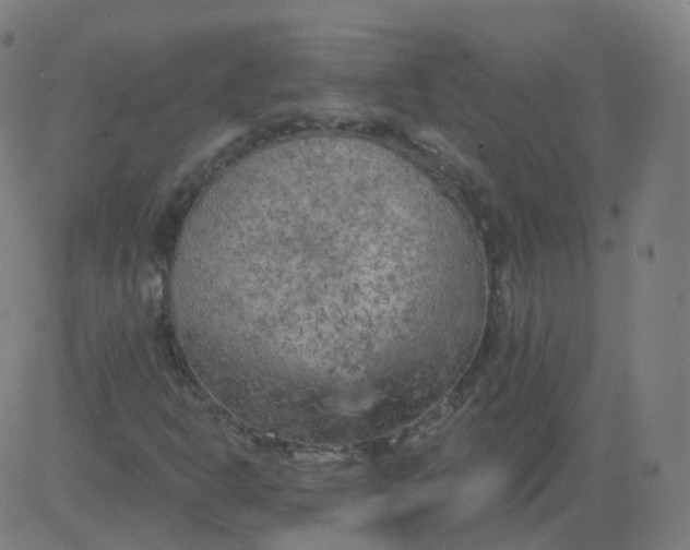 X0000084601302200703091918