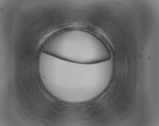 X0000084601304200703091918