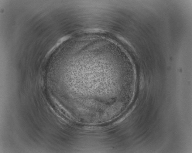 X0000084601305200703091918