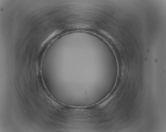 X0000084601306200703091918