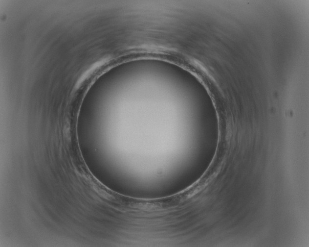 X0000084601307200703091918